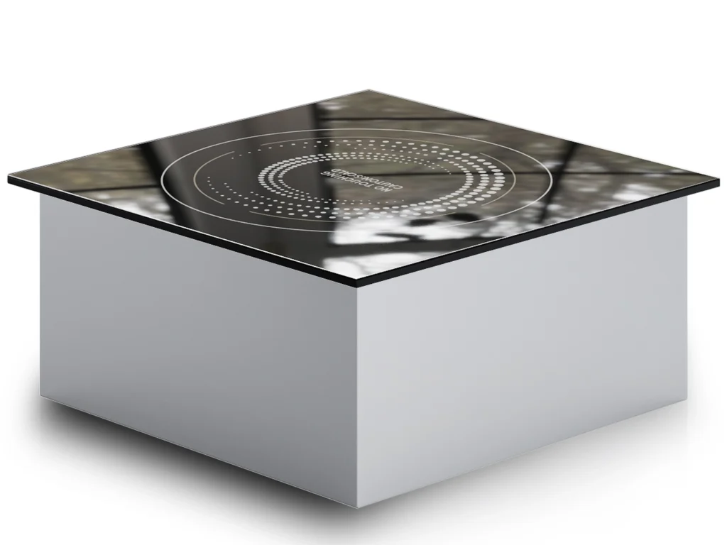 Countertop induction built-in flat cooker 1