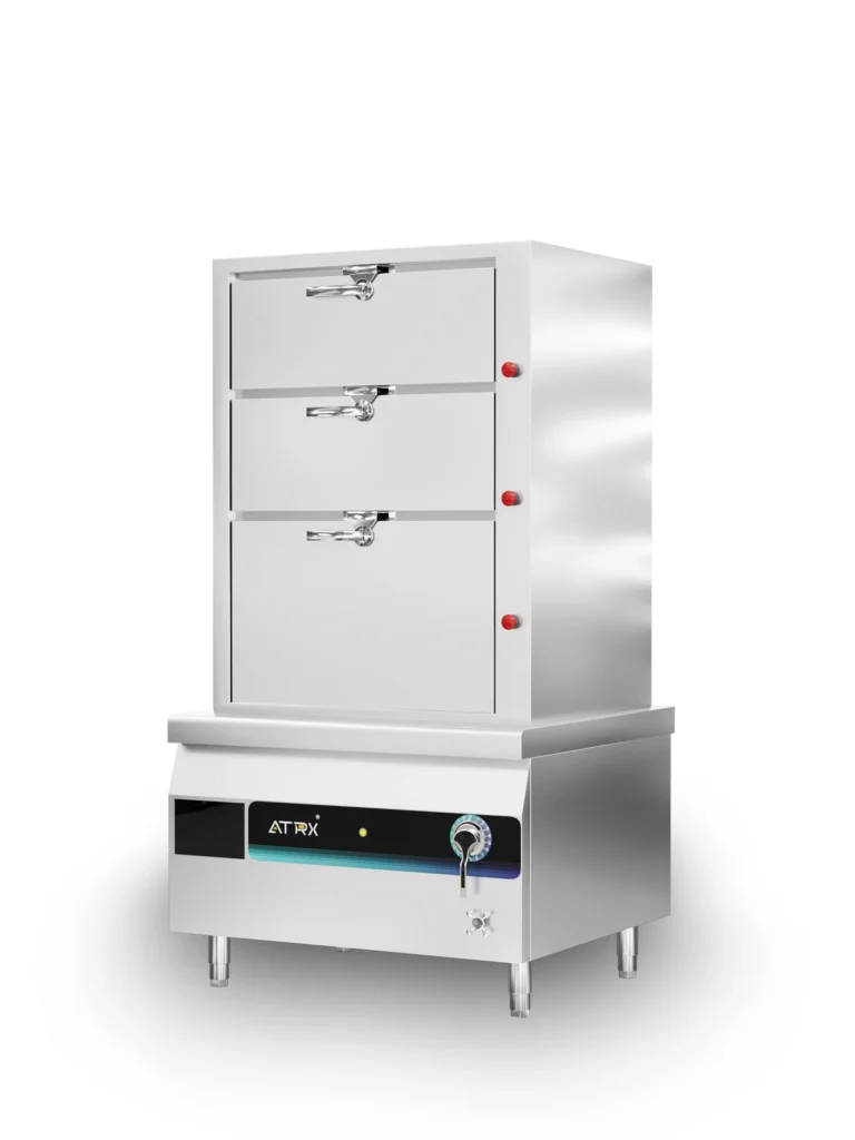 Floor inducion separate cabinet steamer 1