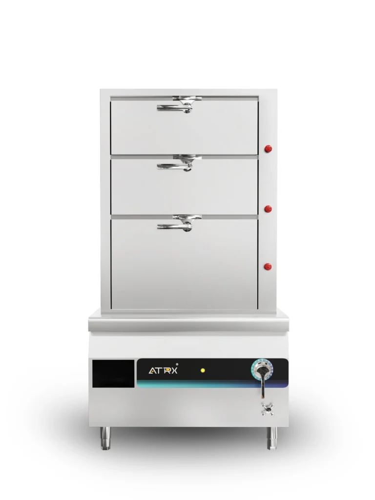 Floor inducion separate cabinet steamer 2