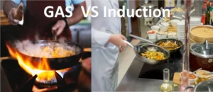 Induction Cooker vs Gas Stove