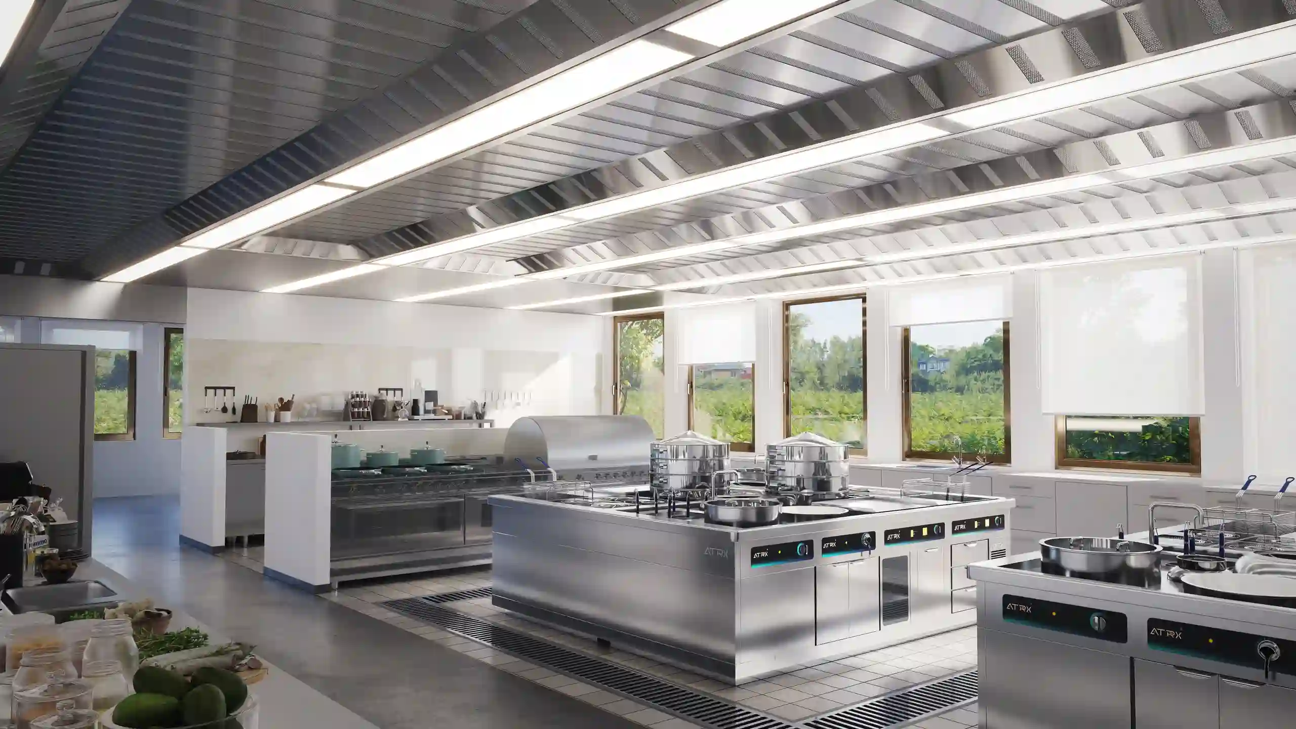 ATRX Commercial Induction cooker